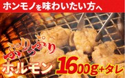 大人気焼肉屋さんのご家庭で簡単！モツ焼き肉セット1600g　／Amu-04