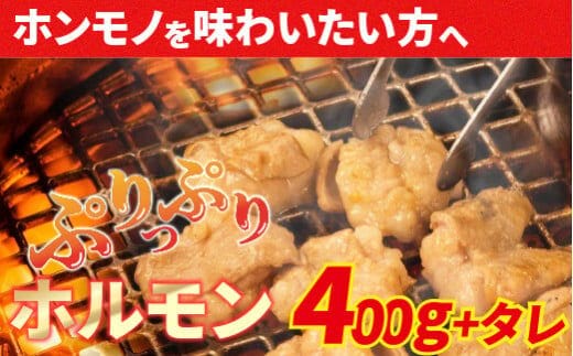 大人気焼肉屋さんのご家庭で簡単！ホルモン焼きセット ／Amu-01