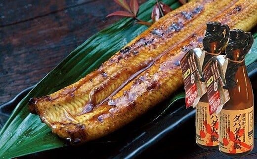 炭火の蒲焼ウナギ2尾＆幻の栗焼酎ダバダ火振り ／Esg-22