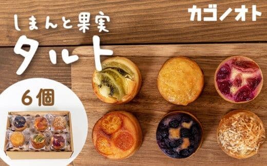 【しまんと果実：エコ包装】タルト（6個入：キウイ・すもも・文旦・ブルーベリー、金柑、ジンジャーラムナッツ）カゴノオト／Ikg-Z98