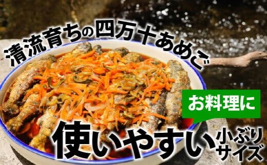 四万十の幸「あめご」使いやすい小ぶりサイズ12～14匹 ／Eay-02