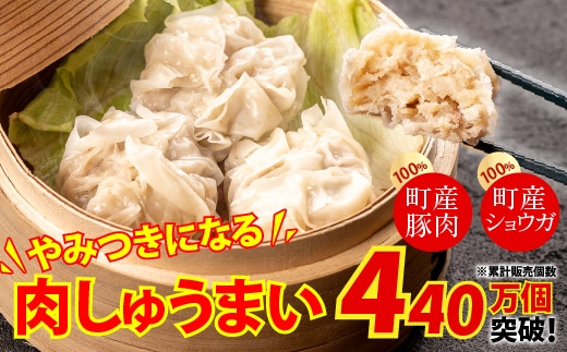 やみつきになる美味さ！旨味がギュッと凝縮された肉しゅうまい ／Qak-A26