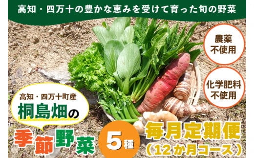 【栽培期間中、農薬・化学肥料不使用】桐島畑の季節野菜詰め合わせ(5種類)(定期便12か月コース)／Rfkh-A02