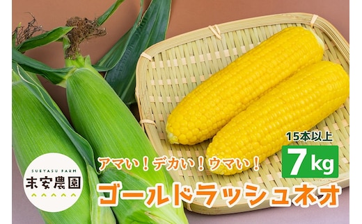 朝採れを直送！スイートコーン【ゴールドラッシュネオ】7kg（15本以上）_Gv013