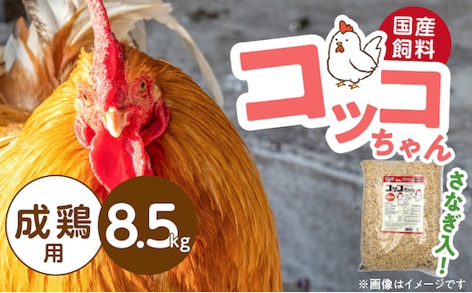 コッコちゃん 成鶏用 さなぎ入 8.5kg_Pf081