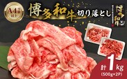博多和牛切り落とし 500g×2パック_Ab040