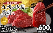 【馬刺し】 創業昭和11年　久留米の老舗の新鮮国産やわらか馬刺し(冷蔵)【馬刺しタレ付き】《100g×6P》 (やわらか馬刺し100g×6P)_Ah022