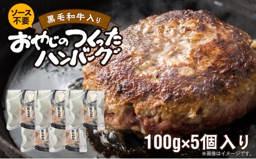 黒毛和牛入（国産牛100％）ハンバーグ 100g×5 _Ax038