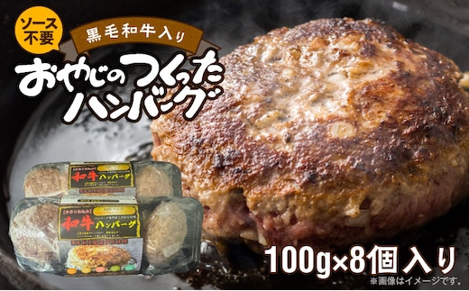 黒毛和牛入ハンバーグ 100g×8 _Ax039