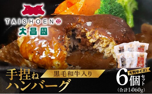 大昌園「手捏ねハンバーグ6個セット」_Ax023