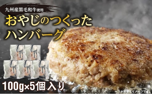 黒毛和牛入（国産牛100％）ハンバーグ 100g×5 _Ax038