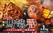 【馬肉】 国産馬ホルモン《旨辛味》《200g入り×5P》_国産 馬ホルモン 旨辛味 200g × 5パック 小分け 福岡県産 ホルモン やみつき うま辛 鮮度抜群 真空包装 福岡県 久留米市 お取り寄せ グルメ おかず おつまみ 炒め物 焼きそば 焼肉 肉 馬肉 冷凍 送料無料_Ax305