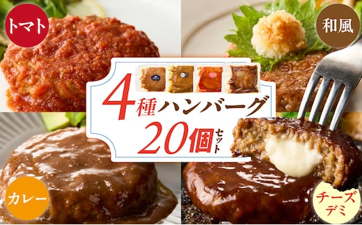 ハンバーグ食べ比べ20個セット _ Ax405