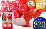 いちご満喫　あまおう2パック&あまおうジャム２瓶のセット 1月から発送