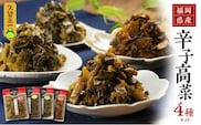 【明太味がリニューアル！】福岡県産辛子高菜4種セット_Ca208