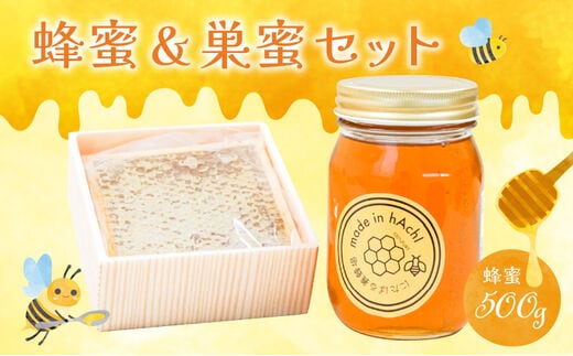 蜂蜜500gと巣蜜1つのセット