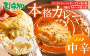 【中辛】ビスヌ 本格カレー 10食＋プレーンナン5枚＋チーズナン5枚_Ca050-02