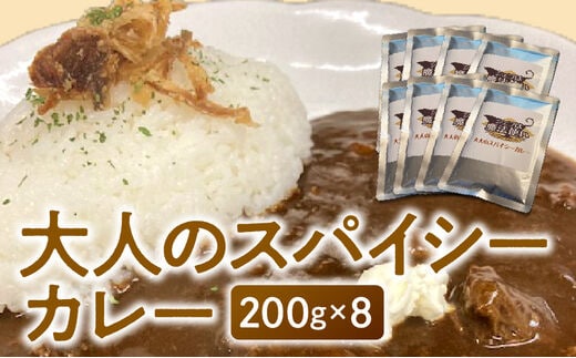 大人のスパイシーカレー200g×8