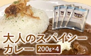 大人のスパイシーカレー200g×4