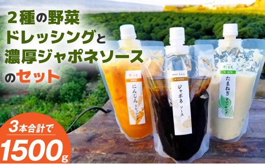 無添加ドレッシングと濃厚ジャポネソースのセット（500g）計3本_2種 野菜 ドレッシング ジャポネソース 各 500g 計 3本 セット 非加熱 生酵素 低オイル ヘルシー 人参 玉ねぎ 甘み 癖になる 美味しさ 玉ねぎドレッシング 人参ドレッシング フレッシュ 濃厚 洋食店の味 万能 ソース お取り寄せ 福岡県 久留米市 送料無料_Cd021-01