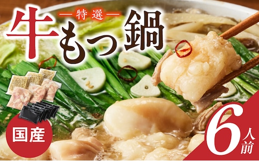 博多名物 国産牛 特選もつ鍋 醤油味 6人前セット_Cn130