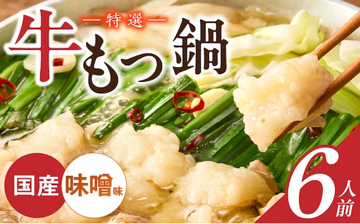 博多名物 国産牛 特選もつ鍋 味噌味 6人前セット _Cn139-03