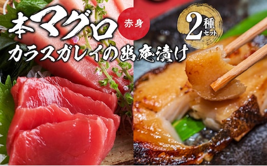 国産本マグロとカラスガレイの幽庵漬け詰め合わせ 2種セット