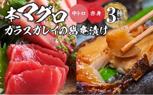 国産本マグロとカラスガレイの幽庵漬け詰め合わせ 3種セット