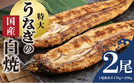 うなぎの白焼 2尾セット（特大サイズ 一尾 170g～200g）