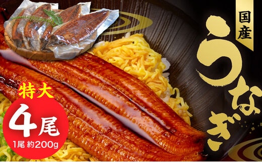 国産うなぎ蒲焼 200g×4尾