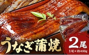 特大うなぎ蒲焼約400g×2尾