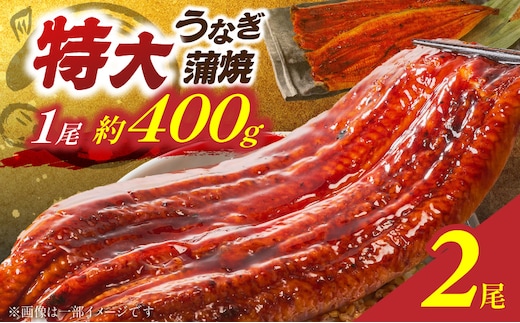 特大うなぎ蒲焼約400g×2尾_Cu027