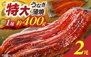 特大うなぎ蒲焼約400g×2尾_Cu027
