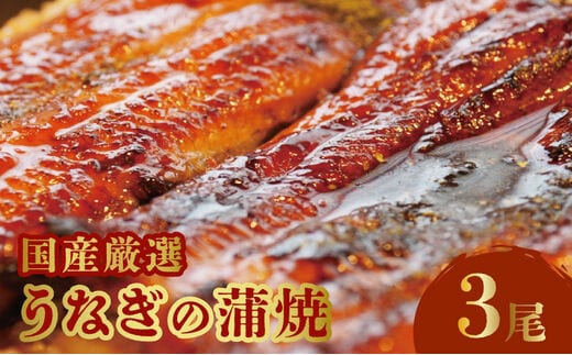 「そう馬」国産厳選うなぎの蒲焼