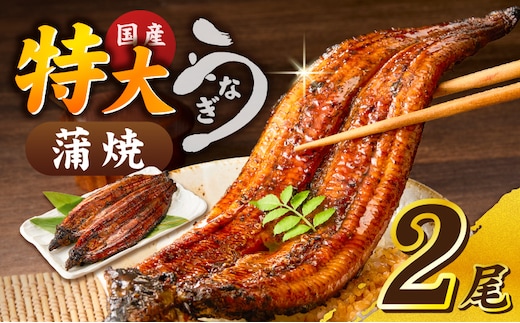 うなぎの蒲焼 2尾セット（特大サイズ 一尾 170g～200g）_Cu001