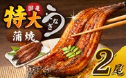 うなぎの蒲焼　2尾セット（特大サイズ　一尾　170g～200g）_Cu001