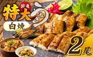うなぎの白焼　2尾セット（特大サイズ　一尾　170g～200g）_Cu002