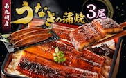 うなぎの蒲焼き3尾セット