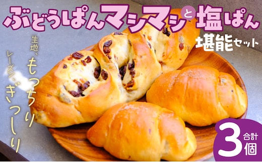ぶどうぱんマシマシと塩ぱん 堪能セット _Cx243