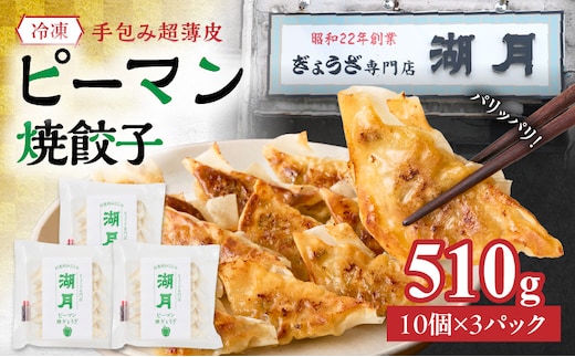 冷凍ピーマン焼餃子 _Cx254