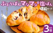 ぶどうぱんマシマシと塩ぱん　堪能セット _Cx243
