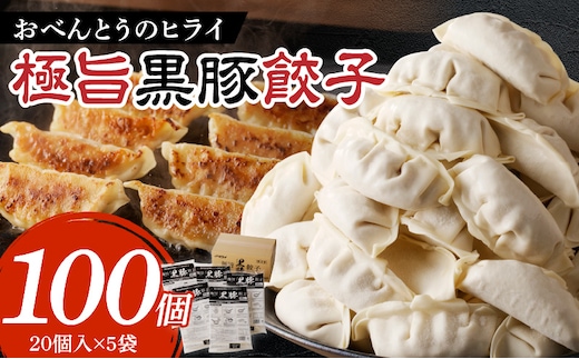 極旨黒豚餃子（23g×20個）×5袋