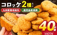 2種コロッケ詰合せセット 40個(20個×2)_Cx210