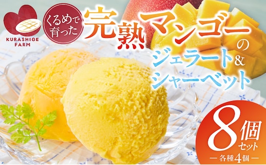 【2026年7月お届け】完熟マンゴーのジェラート＆シャーベット130ml×8個入り _Dw012-08