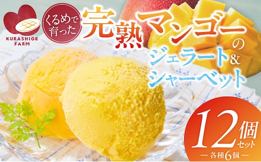 【2026年7月お届け】完熟マンゴーのジェラート＆シャーベット130ml×12個入り _Dw012-12