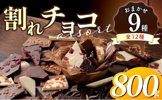 割れチョコアソート おまかせ9種 800g_Dw134
