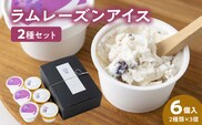 ラムレーズンアイス6個セット（2種の味わい）