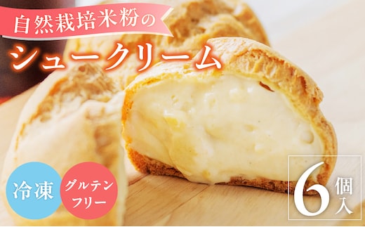 自然栽培 米粉のシュークリーム プレーン6個セット_Dw081