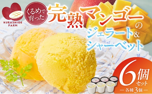 【2026年7月以降お届け】完熟マンゴーのジェラート＆シャーベット130ml×6個入り_Dw012