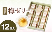 梅の花 梅ゼリー 12個入_Dw043